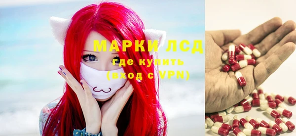 apvp Новодвинск
