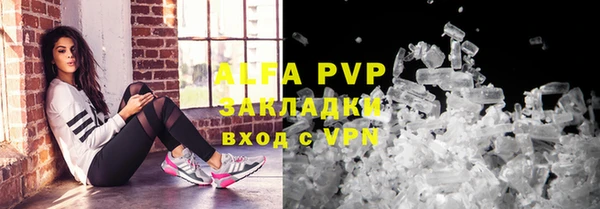 спиды Новозыбков