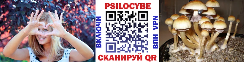 ОМГ ОМГ ONION  Хадыженск  Псилоцибиновые грибы Cubensis  хочу наркоту 