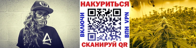 Конопля план  Хадыженск 